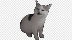 Создать мем: кот мем на прозрачном фоне, эмодзи для дискорда коты, кот на белом фоне