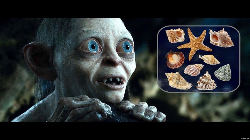 Create meme: golum from Lord of the rings, the Lord of the rings Gollum, My darling from the Lord of the Rings