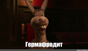 Create meme: donkey from Shrek meme, donkey Shrek meme, donkey from Shrek