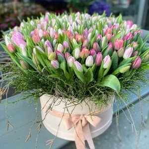 Create meme: tulips are delicate, a bouquet of tulips, tulips