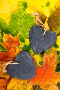 Create meme: autumn love, autumn, leaves fall