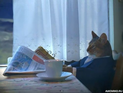 Create meme: a cat with a newspaper at the table, cat , cat with newspaper meme