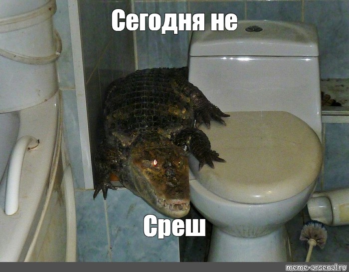 Не сегодня картинка