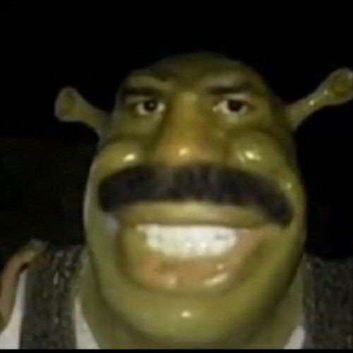 Create meme: the face of Shrek, Shrek meme , mustachioed shrek