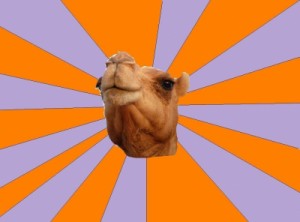 Create meme: meme, memes, camel