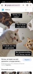 Создать мем: мем коты наташа, наташа мы все уронили коты, мемы про наташу и котов