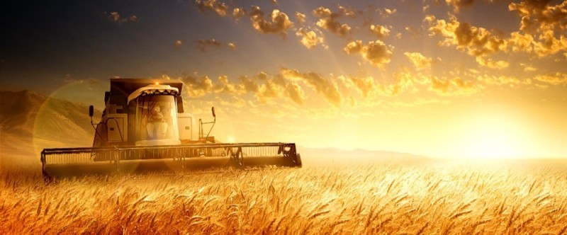Create meme: harvester in the field, combine harvester in the field at sunset, agricultural machinery