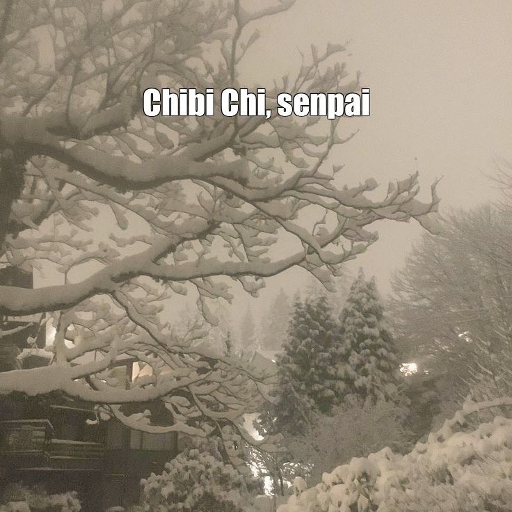 Create meme: Japan in winter, in the winter, South Korea winter