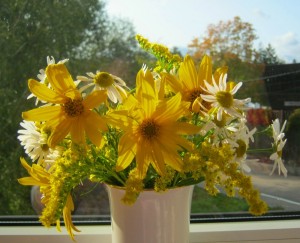 Create meme: beautiful flowers, flowers, yellow flowers