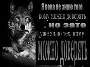 Создать мем: душа волка цитаты, цитаты волка на обои, я знаю кому можно доверять