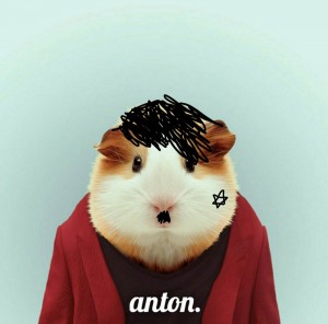 Create meme: Guinea pig, hamsters