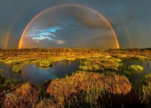 Create meme: rainbow after the rain, nature rainbow, rainbow