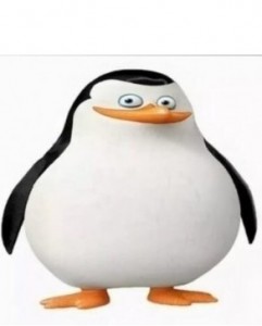 Create meme: the Madagascar penguins, the penguins of Madagascar Rico, penguins of Madagascar skipper