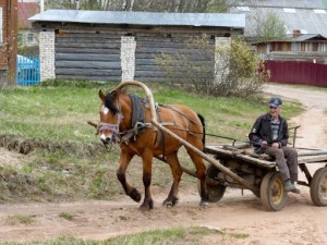 Create meme: rural, wagon, carts for horses