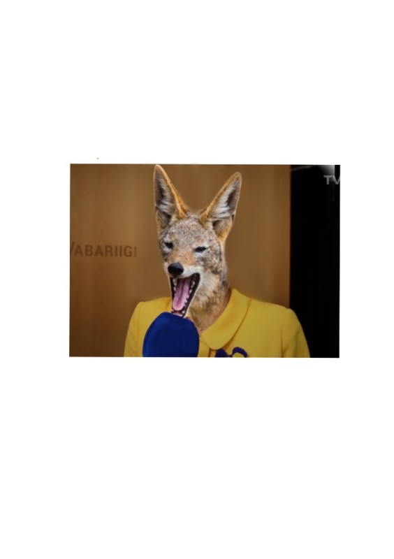Create meme: animals , an ordinary jackal, jackal wolf