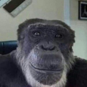 Create meme: meme monkey