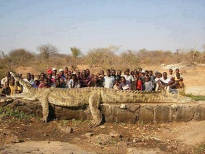 Создать мем: самый большой крокодил в мире за всю, самые большие крокодилы в мире, гигантский крокодил людоед
