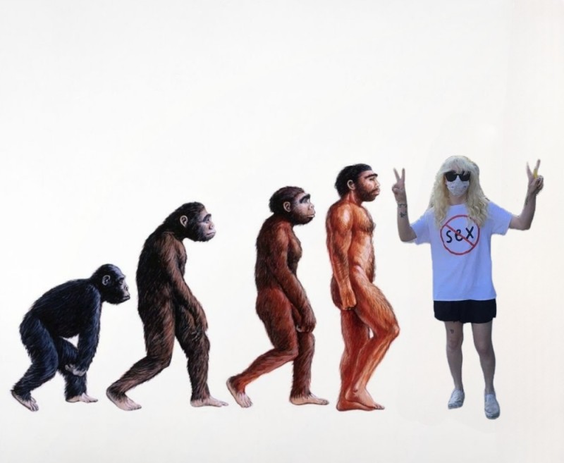 Создать мем: схема дарвина эволюция человека, теория эволюции человека, теория эволюции дарвина