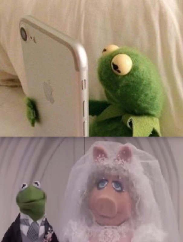 Create meme: funny thing, funny jokes, kermit 