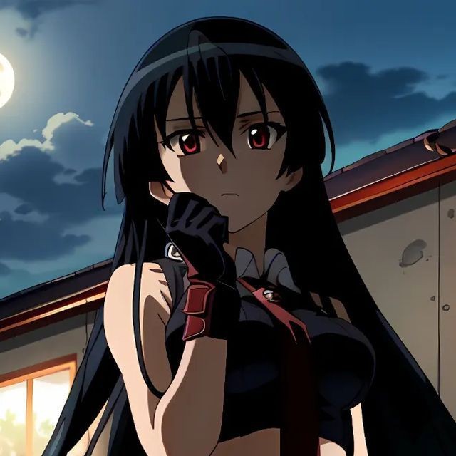 Создать мем: akame ga kill akame, акаме, akame ga kill акаме