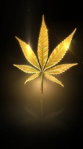 Create meme: leaf, cannabis, marijuana