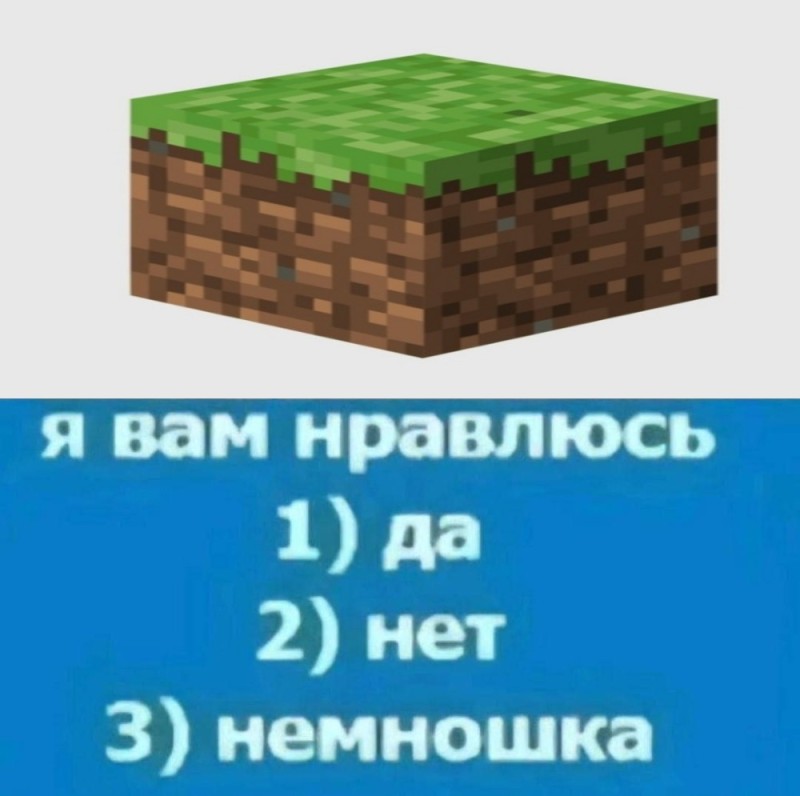 Create meme: about in minecraft, minecraft block of land, minecraft 2d land block