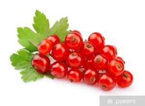 Создать мем: ягоды красной смородины, смородина фото на белом фоне, смородина разная на белом фоне