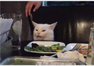 Создать мем: cat at the table мем, confused cat, недовольный кот за столом