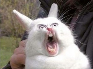 Create meme: screaming hare, screaming rabbit