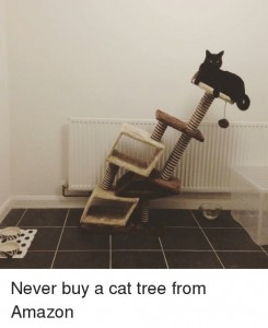 Create meme: catapult, Cat, funny cats