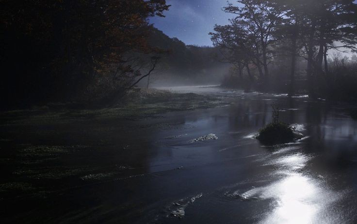 Create meme: forest river, gloomy river, foggy landscapes