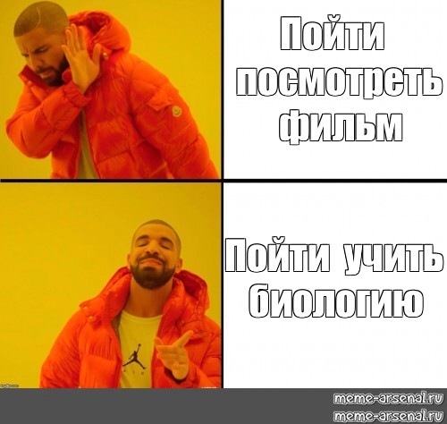 Пойдем увидим