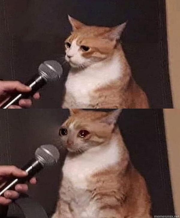 Создать мем: коты мемы, кот с микрофоном плачет, плачущий кот с микрофоном