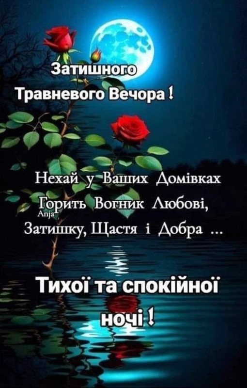 Создать мем: доброї ночі, добрый вечер, добрый вечер спокойной ночи