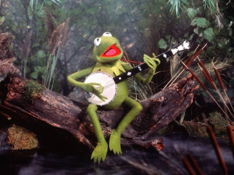 Create meme: frog in the swamp, Kermit the frog with a banjo, Kermit 