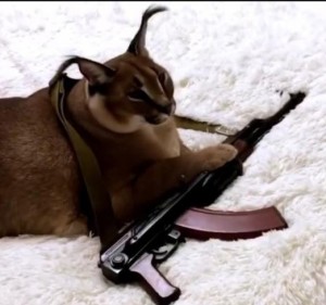 Создать мем: егор кот, шлепа военные преступления, кот
