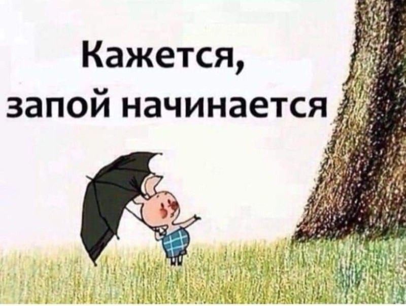 Создать мем: винни пух кажется дождь начинается, кажется дождь собирается, пятачок из винни пуха кажется дождь начинается