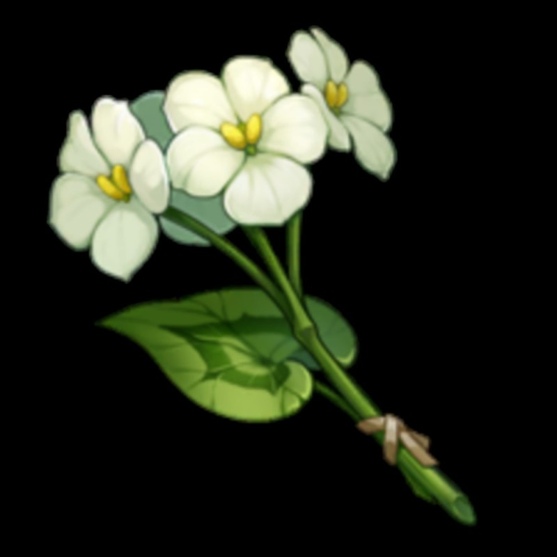 Create meme: qixin genshin, qingxin genshin, white flowers