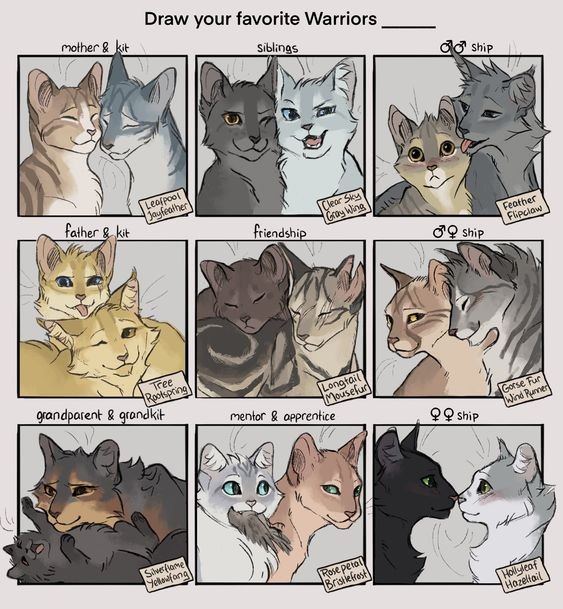 Create meme: warrior cats, the characters are cats warriors , cats warriors reference