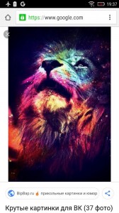 Create meme: animals, lion animal