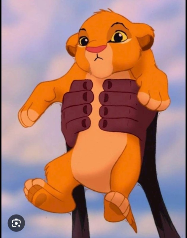 Create meme: Simba the lion king, Lion King Simba the king, Simba the king