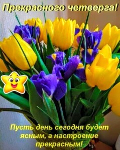 Создать мем: весенние цветы тюльпаны, желтые тюльпаны и фиолетовые ирисы, с днём рождения весенние цветы
