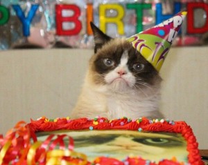 Create meme: sad cat birthday, birthday, cat in a festive hat