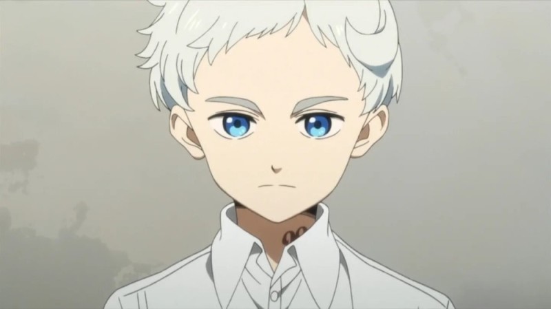 Create meme: The characters of the promised Neverland, the promised Neverland, Norman from the Promised Neverland