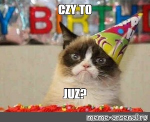 grumpy cat birthday gif