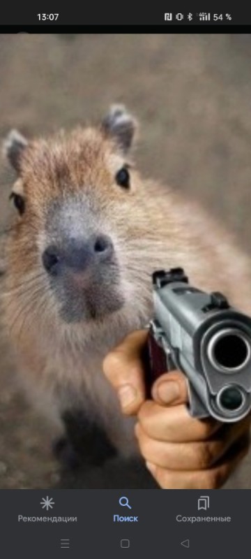 Create meme: the largest rodent is the capybara, capybara with a gun, capybara honey