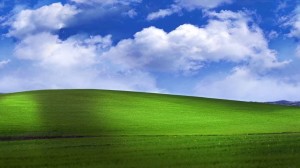 Create meme: windows xp , background windose HP