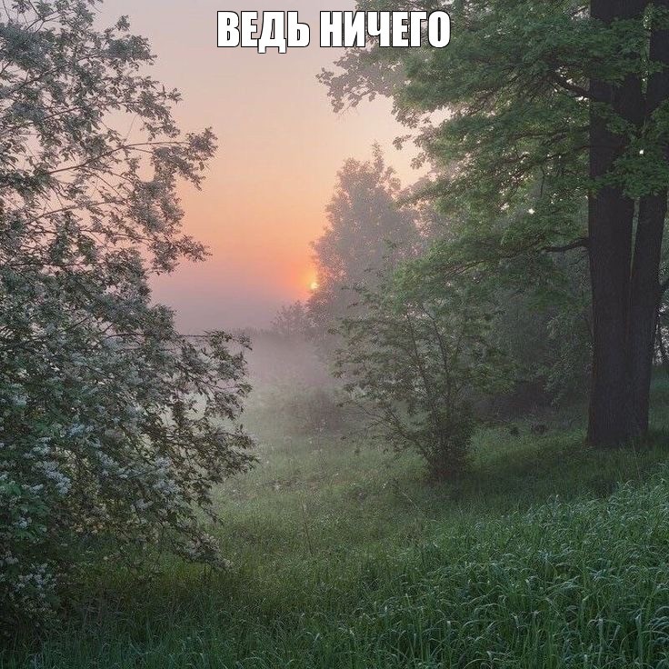 Create meme: early morning, foggy morning, Fog landscape