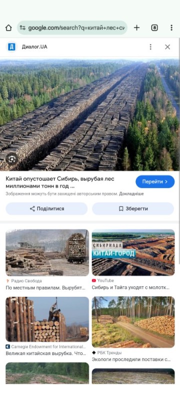 Create meme: deforestation in Siberia, Siberian forest is being cut down by the Chinese, forest in Siberia