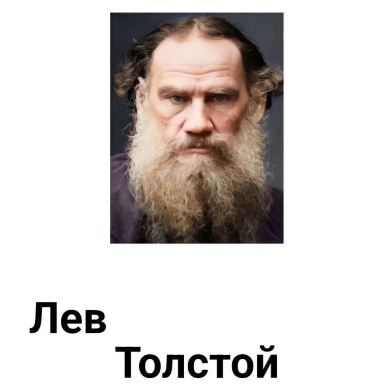 Create meme: tolstoy portrait, l n Tolstoy portrait, Leo Tolstoy portrait